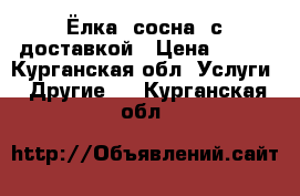 Ёлка (сосна) с доставкой › Цена ­ 180 - Курганская обл. Услуги » Другие   . Курганская обл.